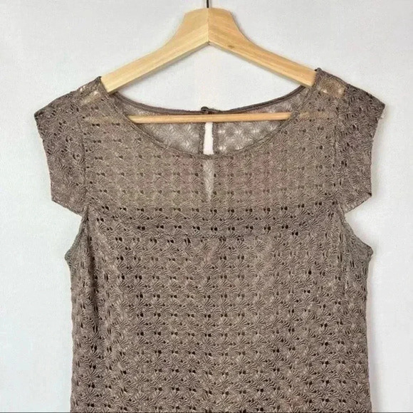 Jax Brown Metallic Crochet Lace Cap Sleeve Knee Length Dress 10 - Picture 3 of 6